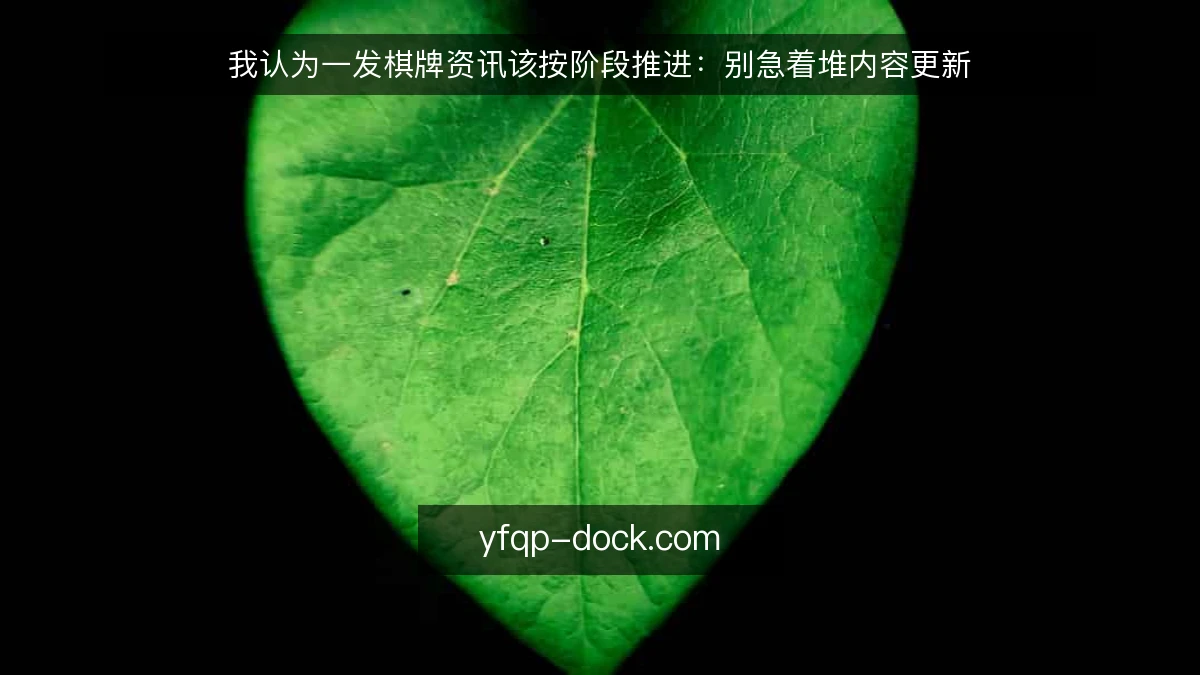 我认为一发棋牌资讯该按阶段推进：别急着堆内容更新